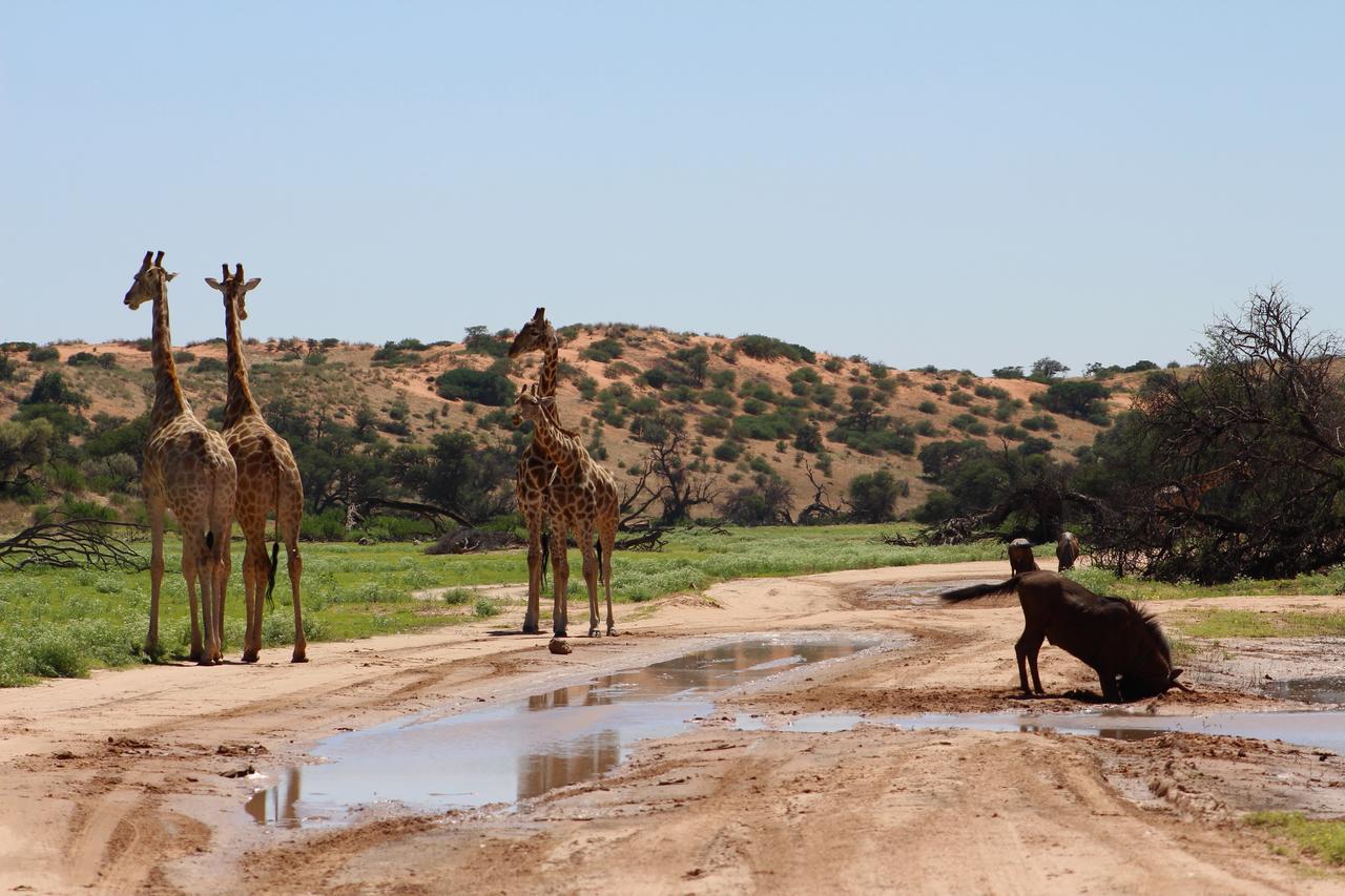 Kgalagadi Lodge Askham Esterno foto